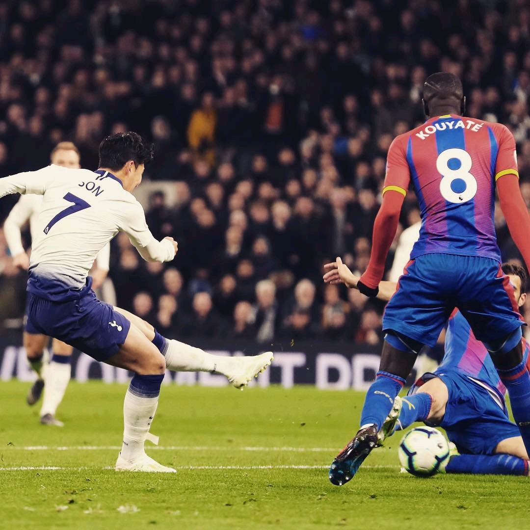 仅展现了中 仅展现了中